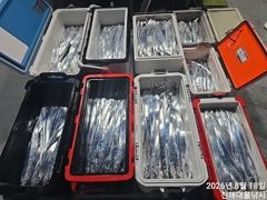 18일새벽,내만칼치 빗속에도 퍽퍽 텐빈,루어 엄청잡고~수,목,금욜 예약가능~