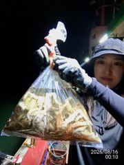 명동항 레전드호 돌문어 조황 사진