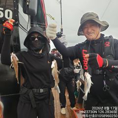 26년8월17일 홍원항 백두산호 백조기 조황입니다..