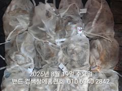 8월18일 군산 홈런호 야간 문어 마무리 조황 입니다.19명 조사님들 수고 하셨습니다.