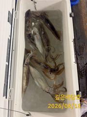 [제주 깊은바당호] 8월 18일 갈치 조황입니다