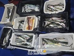 8/18 군산 대일피싱 킹스타호 조황입니다. 19일 6자리 있습니다.