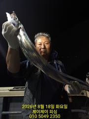 8월18일 대갈치 초 대박 조황