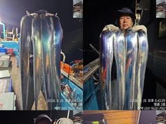 (14석통영명륜호)대갈치 쿨러전원만땅 초저녁부떠 줄행진 ~굿굿(오늘예약가능)
