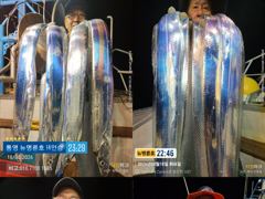 ＜＜통영 뉴명륜호 14인승＞＞ 3지 이상 大치들!!! 쿨러가득^^ (목 1자리,금 3자리)