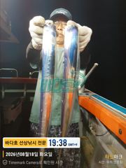 [거제] 8월 18일 출항 왕갈치 조황 굿굿굿!!! 오늘 출항 해…