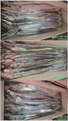 3-6지까지 쿨러 가득 채웠읍니다