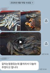 [마산] 마산 원전 선상낚시터 야간 조황