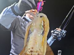 무늬/팁런,,오늘 출항확정 예약가능,,