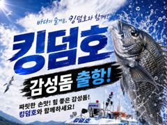 킹덤호 피싱/감성돔 예약 중입니다.