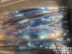 준내만갈치~돼지대치들까지 은빛축제~오늘예{약가능합니다