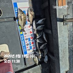 [마산] 돔앤돔호 오늘 2분조황 입니다.