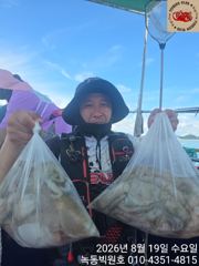 녹동문어가 대세네요(다음주 자리여유)