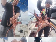 [진해] 문어,20수에서,8수까지 처음부터,끝까지,왕창,,(예약가능)