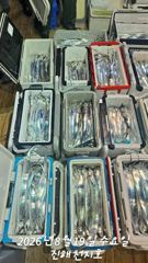 19일 입항 준내만 갈치 풀치속에서 대치들로 손맛 끝내줘요!!(예약가능)