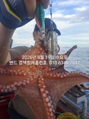 19일 홈런호 야간문어 실시간 조황 입니다