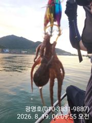삼천포광명호2, 8/22,23,(토,일)돌문어낚시 출조 예약 받습니다.