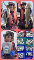 [백조기조황] [무창포 플러스호] 8월 19일 왕 백조기 낚시 만쿨조황~! 신나는 먼바다 왕백조기낚시