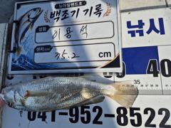 8월 19일 홍원항 뉴아일랜드호 먼바다 백조기 왕중왕전! 전원 쿨러조황·1위 35.2cm 신기록!