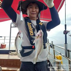 26년8월19일 홍원항 백두산호 백조기 조황입니다..