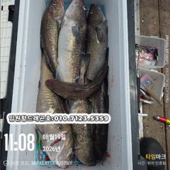 임원항드래곤호 왕대구 조황입니다