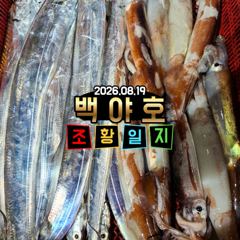 08.19 제주 백야호 한치 조황