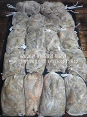 8월19일 굿조황 ...군산 홈런호 야간 문어 마무리 조황 입니다.홈런호에 승선하신 조사님들 수고 하셨습니다.