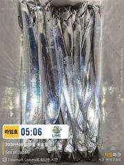[통영라임호] 8월20일 갈치입항저황입니다 !!! 믿.오. 낚 .선 통영라임호입니다