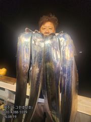 [[제주 뉴그린호(2호) 8월 19일 야간갈치 조황]]