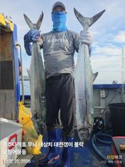 실시간 헤비급 대삼치들의 라이징 쇼