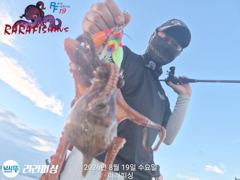 19일(야간문어) 목.금.토.쭉욱 예약가능 마릿수 덩치들 쫀쫀 퍽퍽