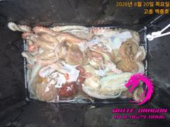 21일 새벽 문어낚시 다녀왔습니다