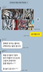 [마산] 마산 원전 선상낚시터 야간 조황