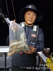 [사천] 돌문어~주간/야간~굿조황~쭉~예약받습니다.