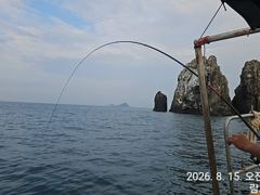 [거제] 먼바다참돔 퍽퍽합니다