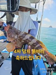 [사천] 삼천포 마린보이 8. 21. 금요일부터 황금물때 붉바리 외수질/…