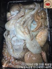 문어 무게가 솔찬하네요(25일자리여유)