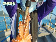 토요일문어출조합니다
