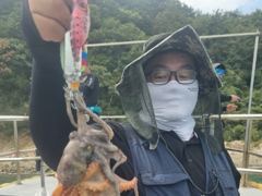 폭우이후 돌 문어 잡어러 출조확정...