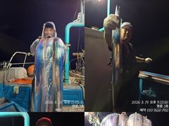 (14석명륜호3호)대갈치 입질 베리굿 갈치와의 전쟁은 계속이어집니다(내일한분예약가능)