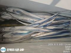원도권텐빈 출조함니다