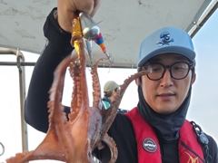 [진해] 칠성호 돌문어 제법 괜찮네요 ~