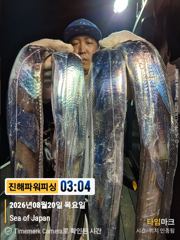[진해] [갈치/텐빈/텐야]우와!!씨알이끝짱♡3지부터~5지급까지 쿨러조황…