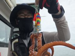 [진해] ~~*돌문어 넉넉하게 챙겨갑니다~~(예약가능)*~~