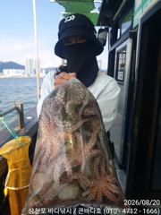 돌문어 장원25수 퍽퍽!!