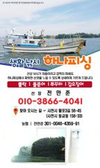 하나피싱 / 돌문어조황 / 내일출조예약받습니다