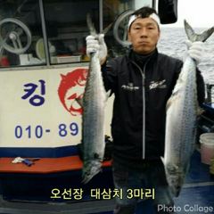 [포항] 8-20(실시간)돌문어~금.토.일 예약중