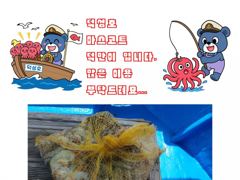삼천포덕성호 돌문어 출조 예약 받습니다.(2026년 8월 20일 조황사항)