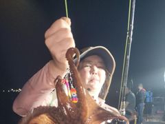 돌문어 ~~목.금 자리널널함