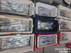 20일새벽,내만칼치 텐빈,루어 씨알점점 엄청나게 잡고~,금,토욜 예약가능~